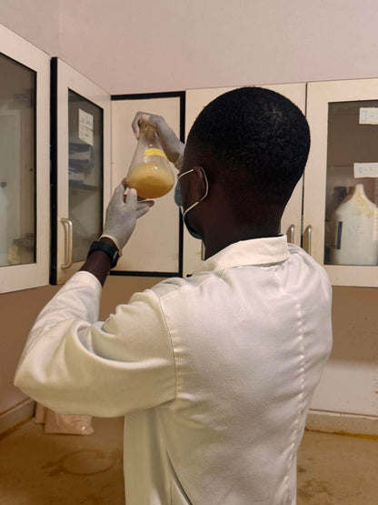 ANP Ibogaine production Training