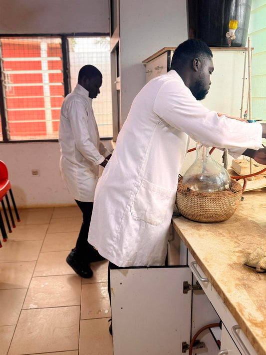 ANP Ibogaine production Training