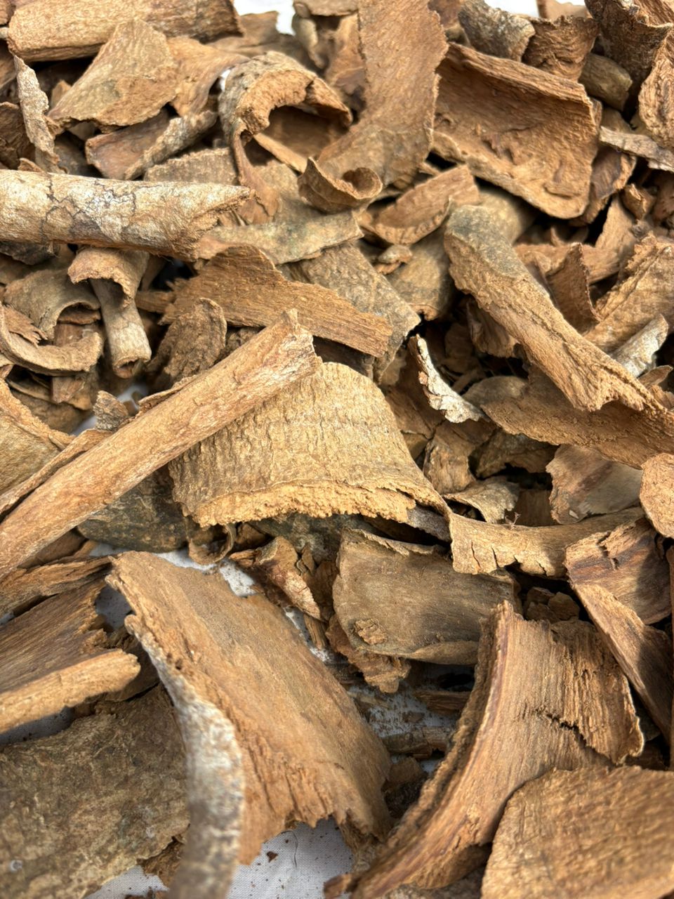 Voacanga Root Bark in Bulk