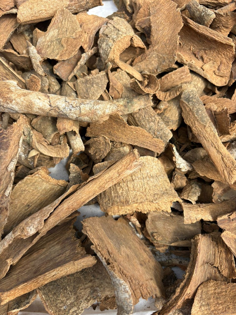 Voacanga Root Bark in Bulk
