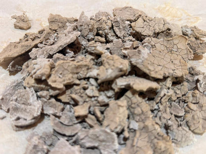 PVTA Purify Voacanga Total Alkaloids