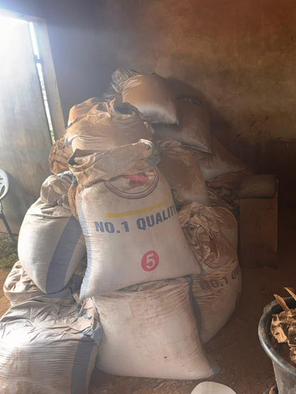 Voacanga Powder in Bulk