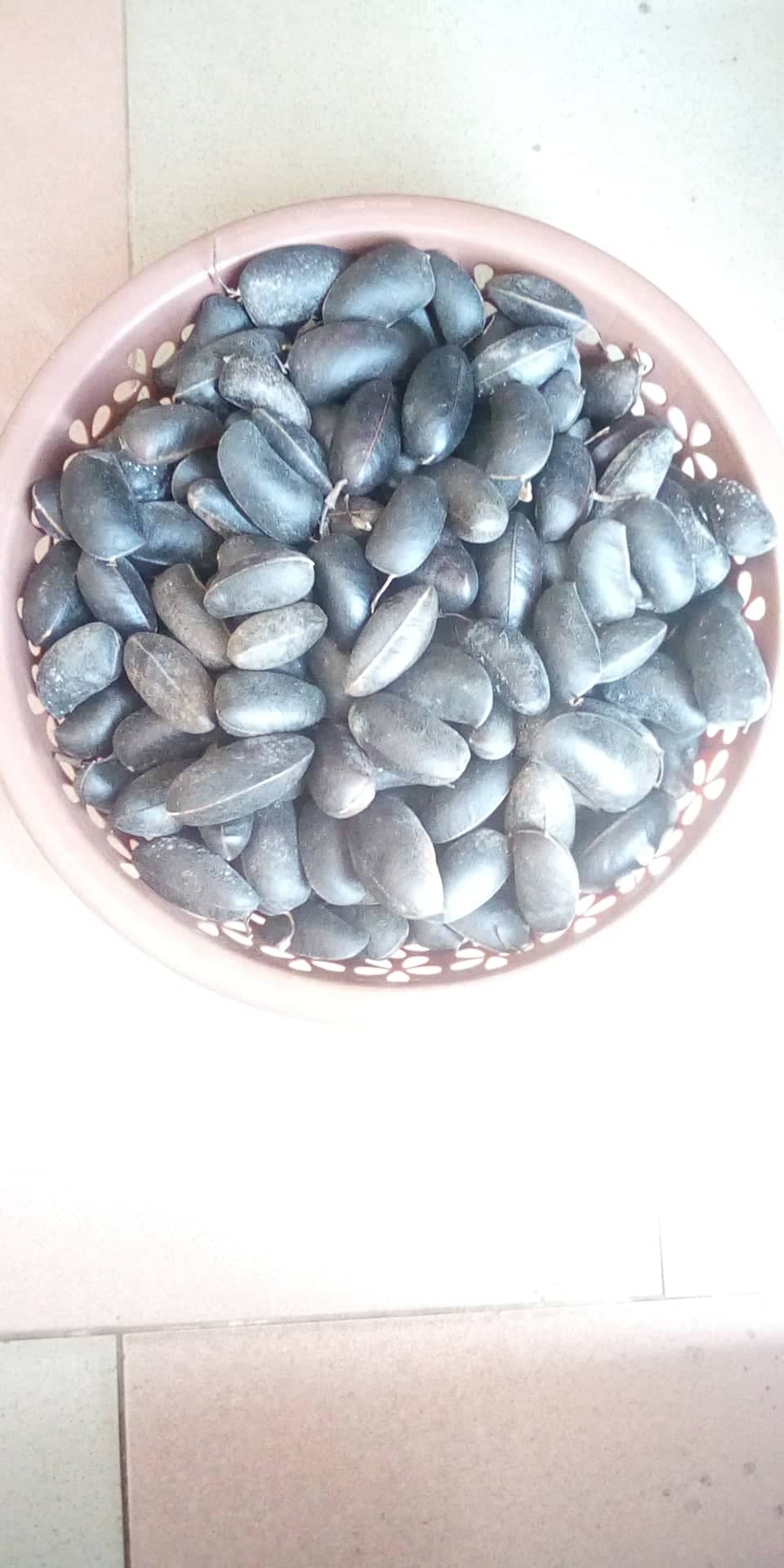 Griffonia Simplicifolia (Powpow/Kagya) Seeds100g - 500g