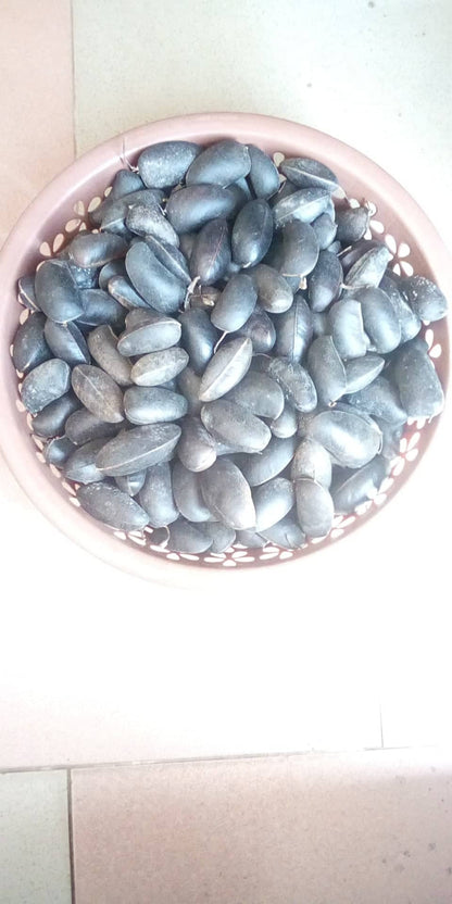 Griffonia Simplicifolia (Powpow/Kagya) Seeds100g - 500g