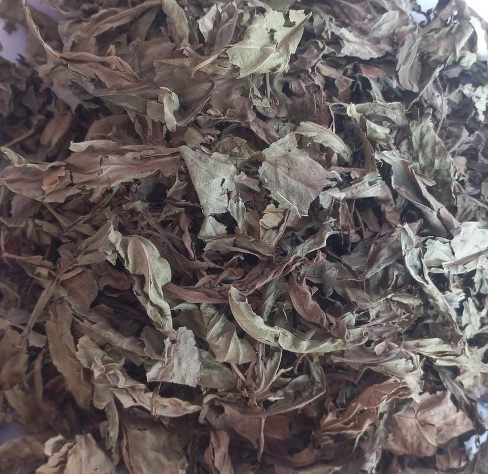Viridis Leaves