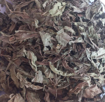 Viridis Leaves
