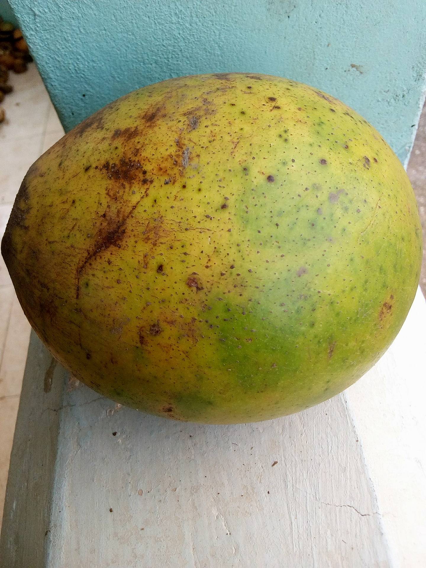 Akuamma Fruit Pods