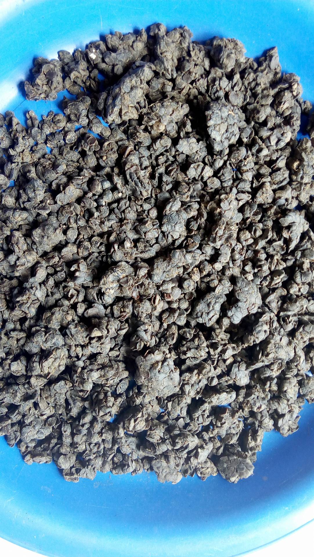 Dawadawa / Daudaua (Fermented Locust Beans)
