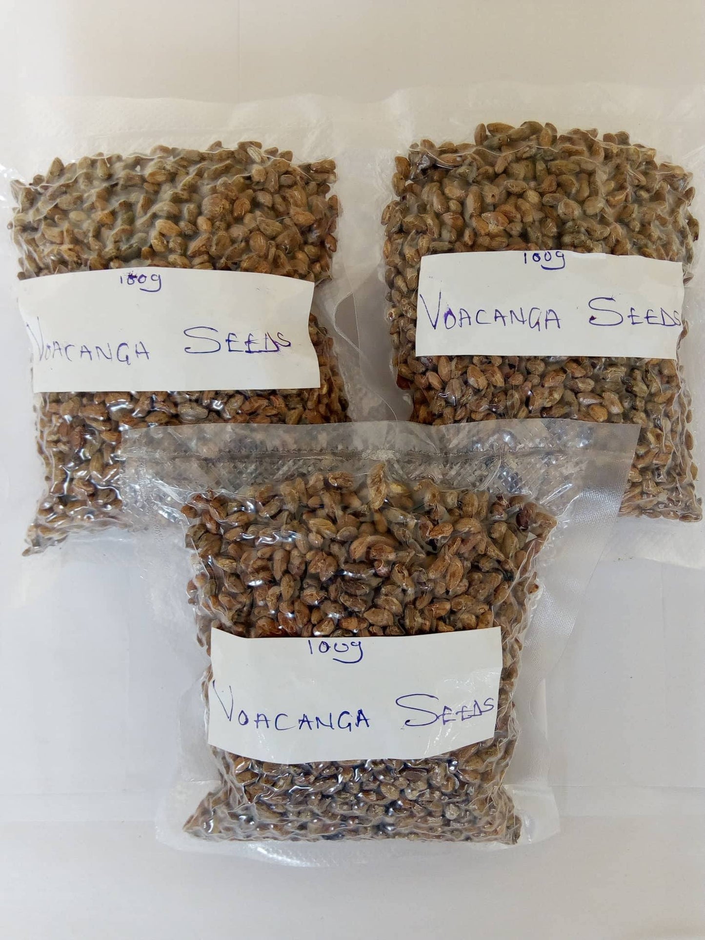 Voacanga Africana Seeds