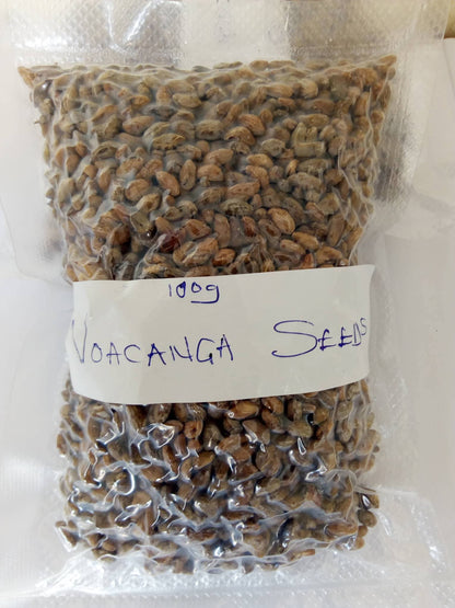 Voacanga Africana Seeds