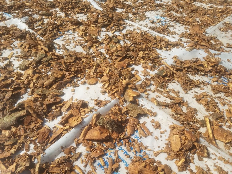 Voacanga Root Bark in Bulk