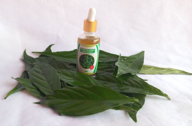 3 in 1 Caapi & Viridis Essence.
